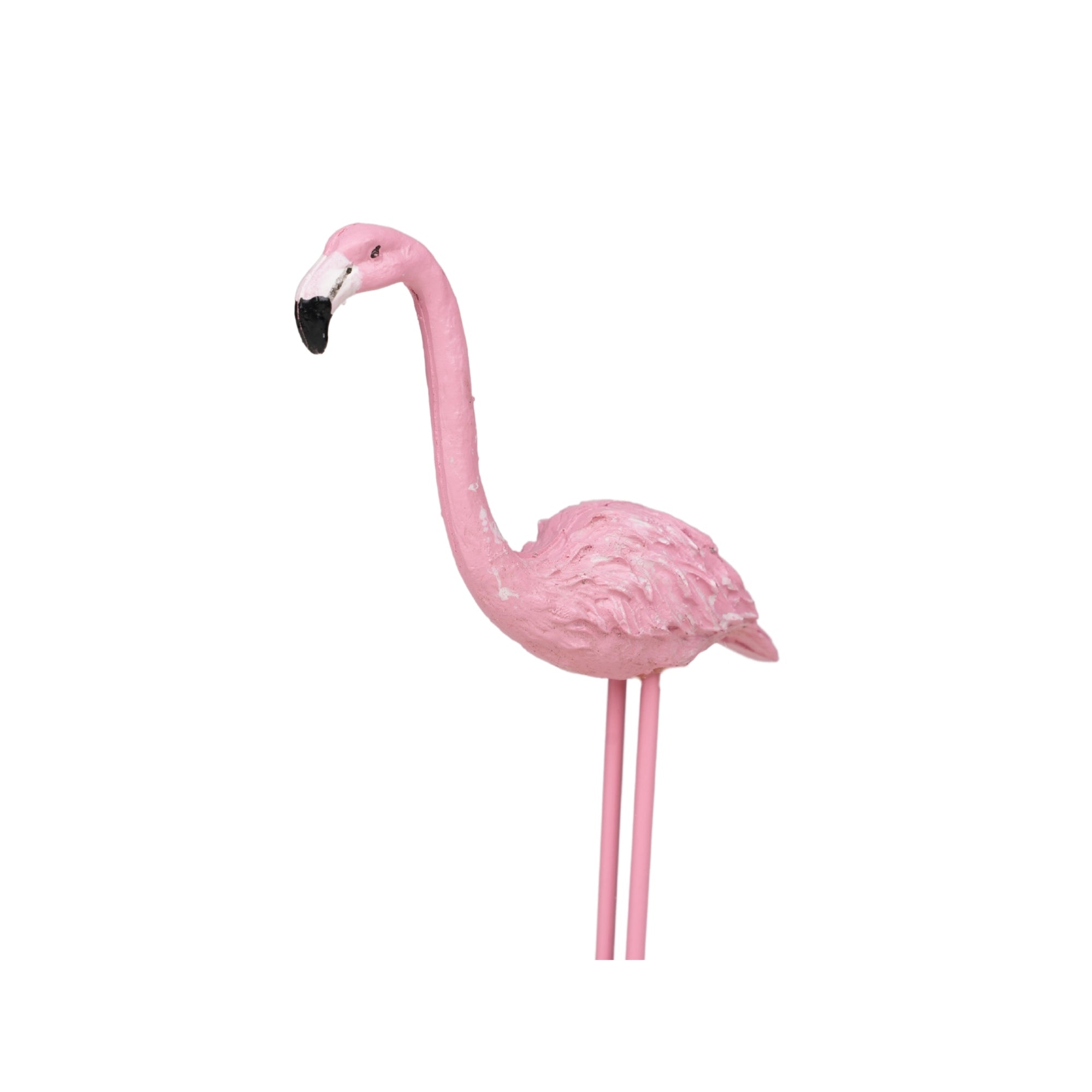 Blush Feather (Set of 1)