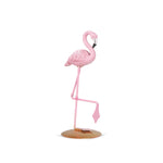 Blush Feather (Set of 1)