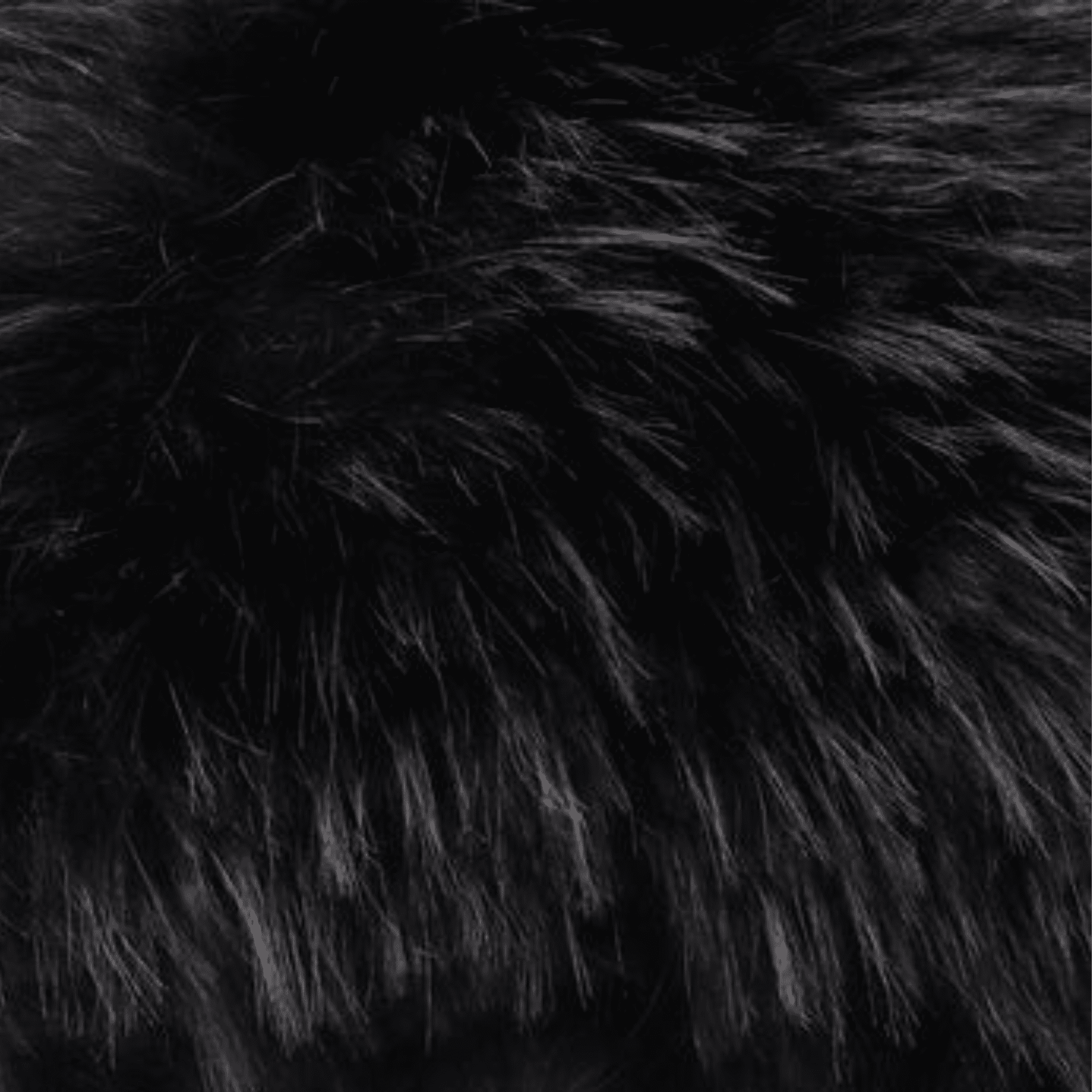 Midnight Luxe - Bonica