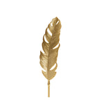 Feather Grace